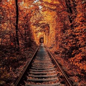 Meet your Posher, Selena